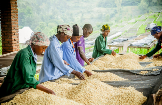 Our commitment to transparency