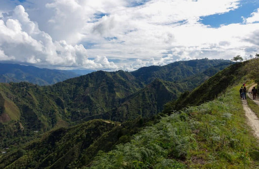 Introducing: Mártir