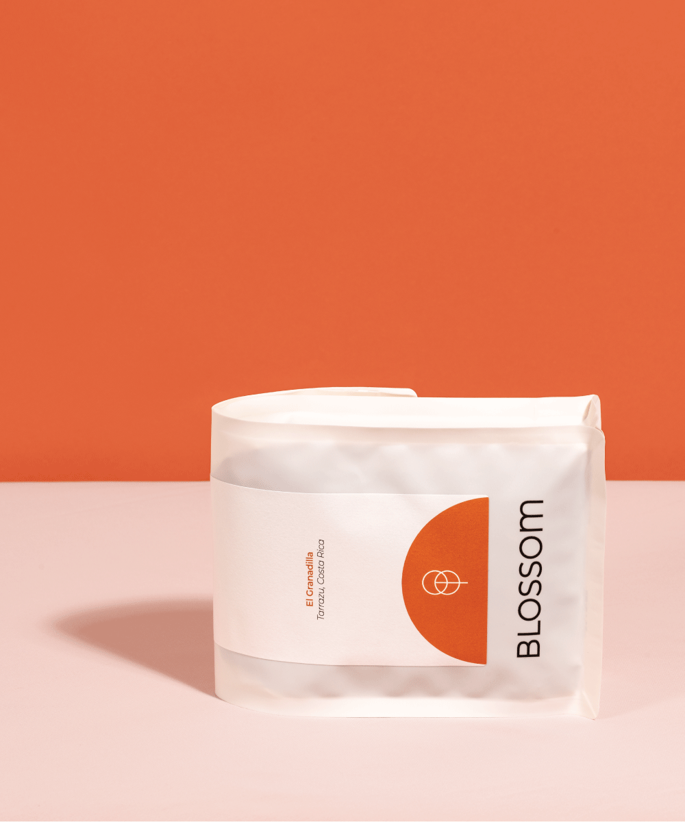 Filter Discovery Subscription