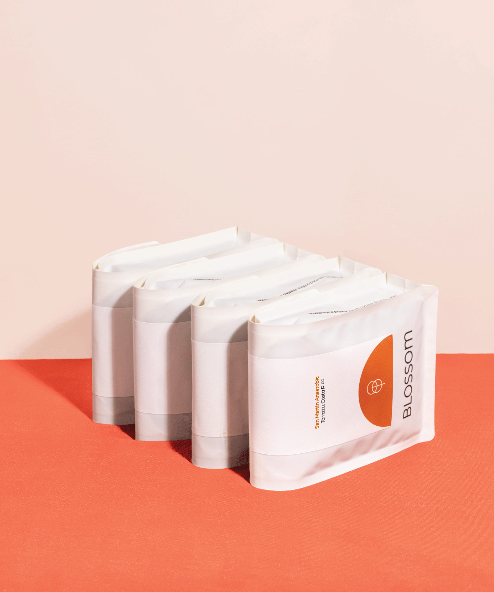 San Martin Anaerobic